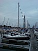 DSC00001.jpg